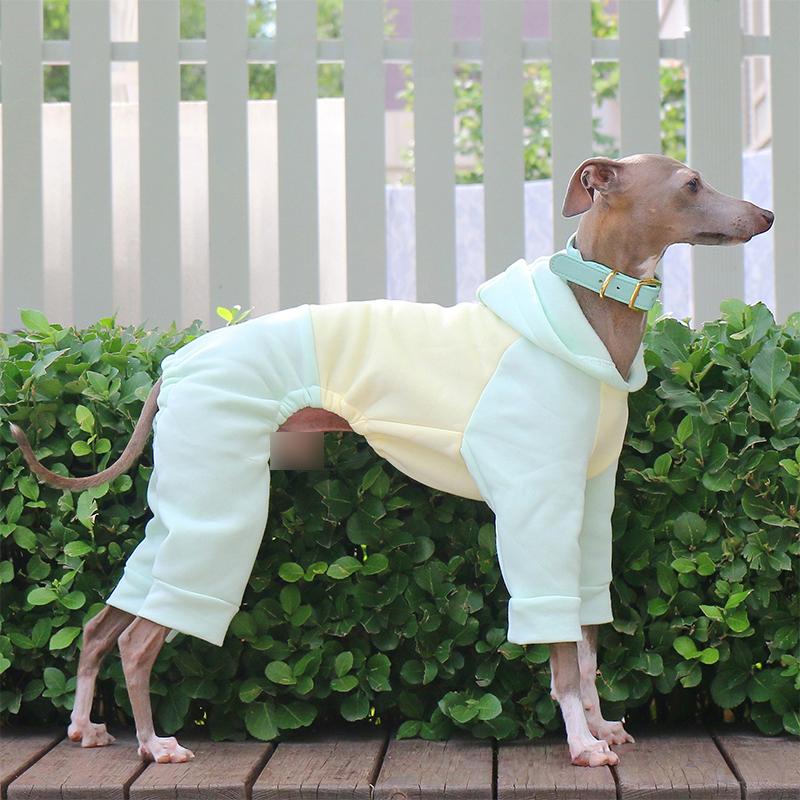 Winter Hundepullover Italienisches Windspiel Whippet Warmer Hundemantel Haustier Fleece Warm Mit Kapuze Vierbeiniger Pullover Overall