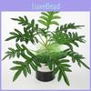 Plant Plastic Realistic Monstera Deliciosa Liebm For Home Decoration