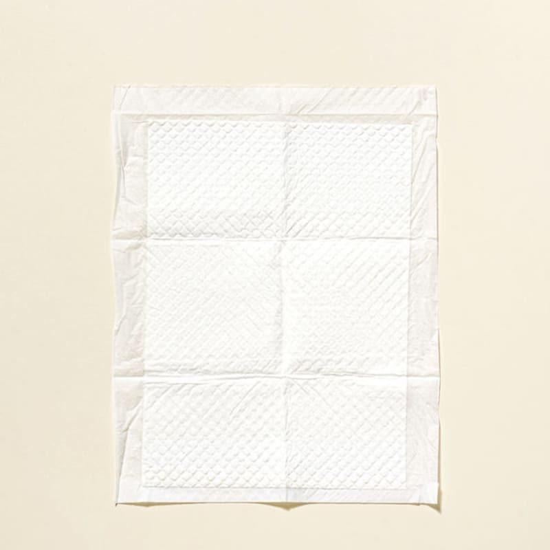 [Haustier] 60 Stück Katzenstreuunterlage 30