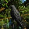Plastic Halloween Crow Garden Decoration: Animal Ornament & Hunting Bait