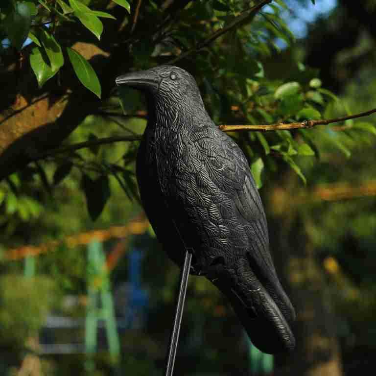 Plastic Halloween Crow Garden Decoration: Animal Ornament & Hunting Bait