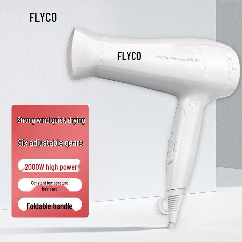 FLYCO FH6232 Foldable Hair Dryer CN plug (adapter included)