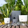 Yousheng Flowerpot with Drainage Holes Water Filling Port Automatic Self-Watering Hydroponic Flowerpot Transparent Base Hydroponic Planter