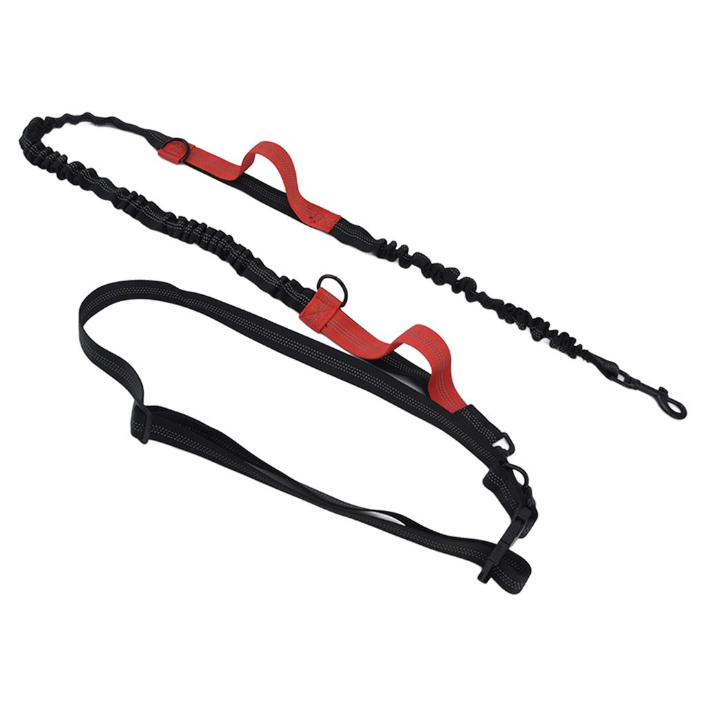 Haustierleine Reflektierend Einziehbar Tragbar Verstellbar Hunde Traktionsseil für Haustiere Hunde Rot