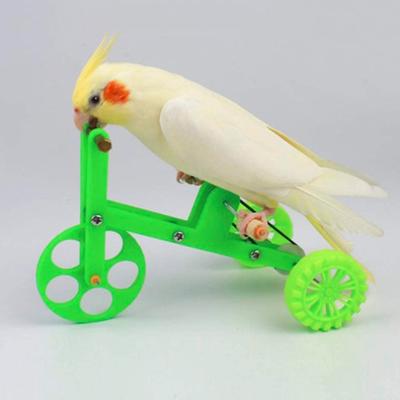 Lustiges Papageien Fahrradspielzeug Vogel Trainingsspielzeug Zubehör Interaktive Requisiten für Wellensittich Nymphensittich Conure Unzertrennlicher Vogelzubehör