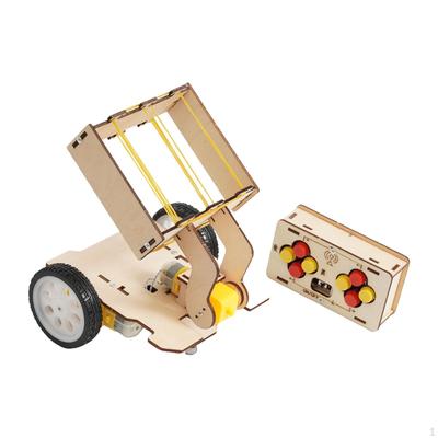 DIY Mini Remote Control Car Toy Physical Experiment Ball Pickup Model Handmade Educational for