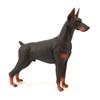 Pvc Toy Doberman Dog Model For Childrens Educational Farm And Animal Scene