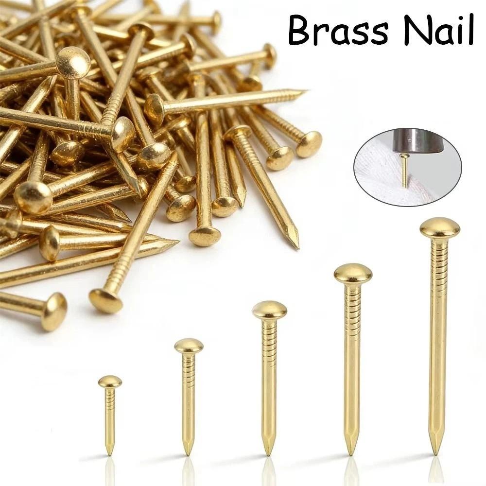 100 pcs Pure Brass Brass Nails Rust-proof Brass Nail Track Mini Round Head Pins Fine Repair