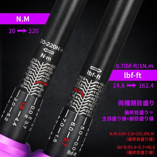 UYECOVE Torque Wrench, Car, Preset, 12.7 Mm (1/2 Inch) Drive, 20-220 N.m, Tire Change, High Accuracy }3%, Dual Scale, Left and Right Rotation, 72 Gear