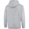 Li Ning Comfortable Casual Simple Hooded Loose Sweatshirt Men Sweatshirt Gray AWDU713-1