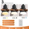 Sofucor Ceiling Fan with Light - 6 Speeds - Energy-Efficient DC Motor - 132cm, 3 Colors Available
