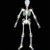 Premium Quality Luminous Hanging Human Skeleton Ideal For Halloween And Party Decor