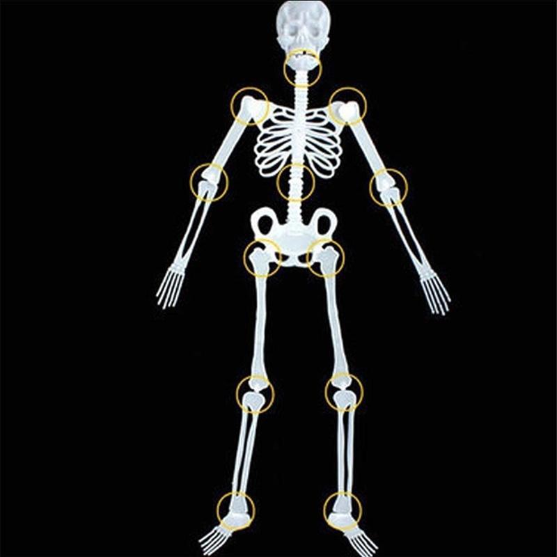 Premium Quality Luminous Hanging Human Skeleton Ideal For Halloween And Party Decor