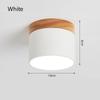 Household ceiling lamp modern style suitable for room living room bedroom balcony corridor home interior room decorative light