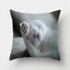 Cute Cat Print Decorative Cushion Pillowcase  Cover Pillow Sofa Living Room