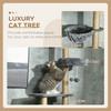 230-250cm Floor-to-Ceiling Climbing Cat Tree Tower - Grey