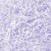 100/200g Colorful Raffia Shredded Paper Candy Boxes DIY Gift Box Filling Material Tissue Party Gift Packaging Filler Decor
