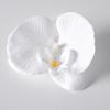 5pcs Simulated Film Butterfly Orchid Flower Head Petals Flower Accessories Headwear Hairclip Handmade Wedding Gift Decoration