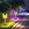 Solar Powered LED Garden Lawn Lights