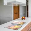 2x GLASS PROTECTIVE PLATE FOR STOVE 40x52 PARIS
