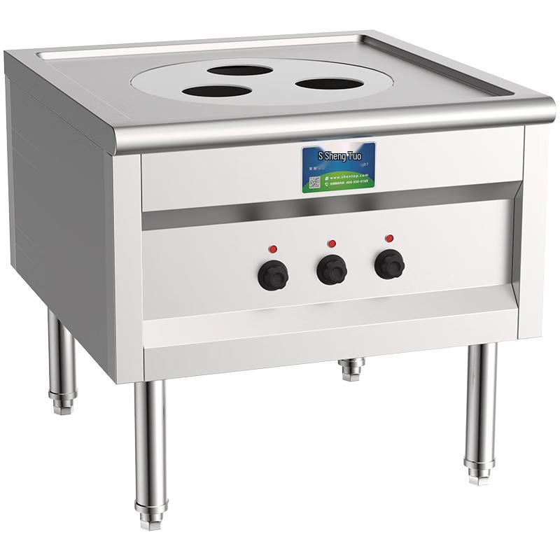 Shentop Commercial Electric Steamer