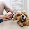 Stainless Steel Pet Massage Comb Easy Cleaning Pet Grooming Brush Pet Hair Comb  Dog Cleaning