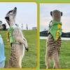 Escape Proof Ferret Leash Vest Harness For Angora Pet Marten Weasel Walking Coat Style Durable