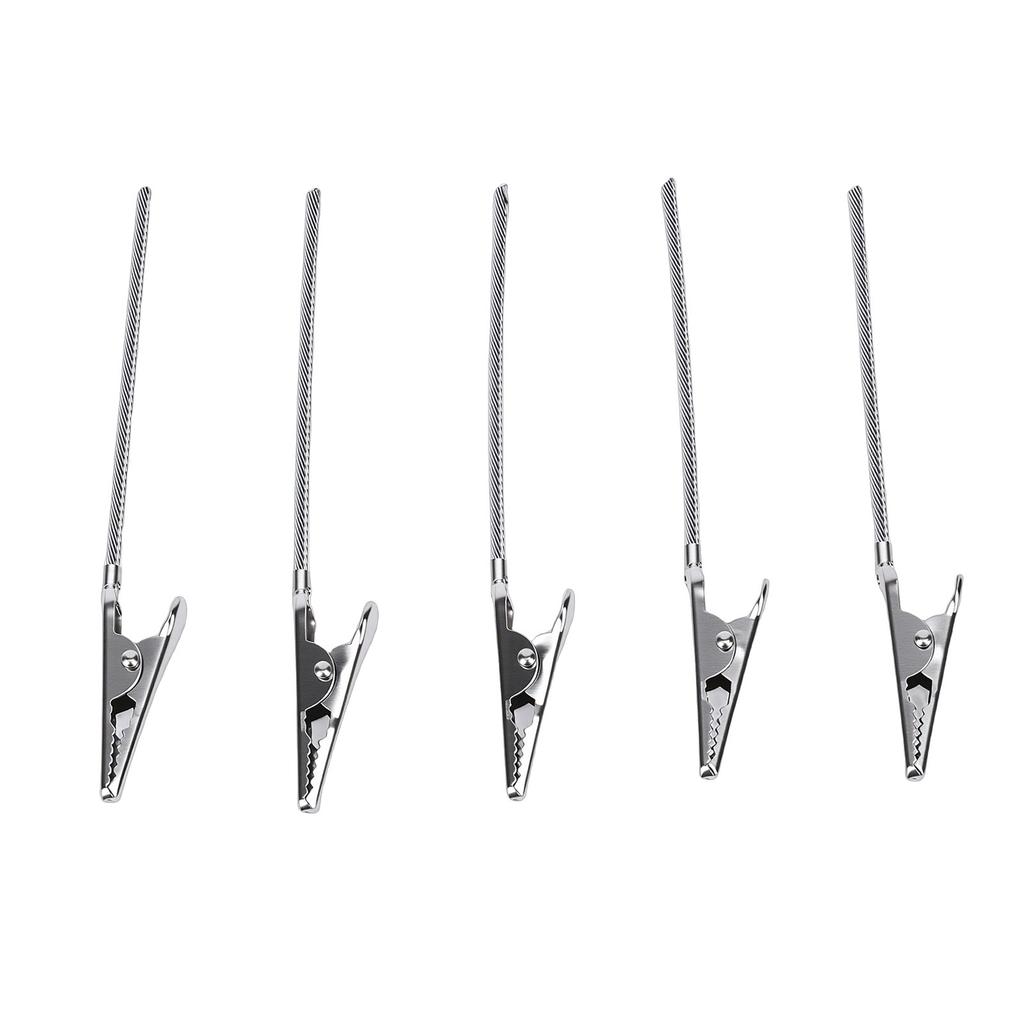 100 Pezzi Clip per Appunti 10cm Acciaio Inossidabile Morsetto a Molla Coda Porta Segnaposto Clip per Carta Fotografica