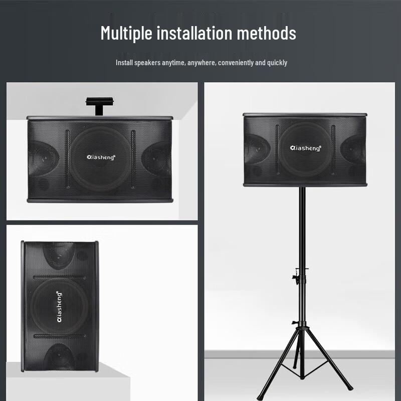 QIASHENG Professional Home KTV Speakers