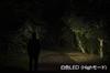 GENTOS LED Small and Lightweight AAA Battery 300 OVER Oval Beam Angle Headlight, (81g), Operated, Lumens, Waterproof, VA-05D,