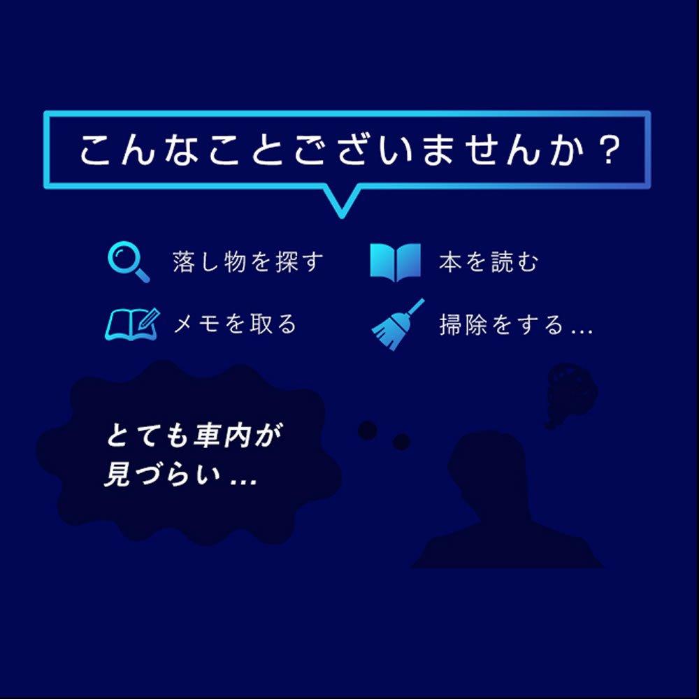 T10 31mm LED Set of for Room Lamps Fcl. Bulbs, 12-LED Bulb, 2,