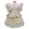 Pet Spring and Autumn Lace Dress Pet Small Dog Teddy Lace Vest Top Cat Thin Dog Dresses for Small Dogs Puppy Clothes