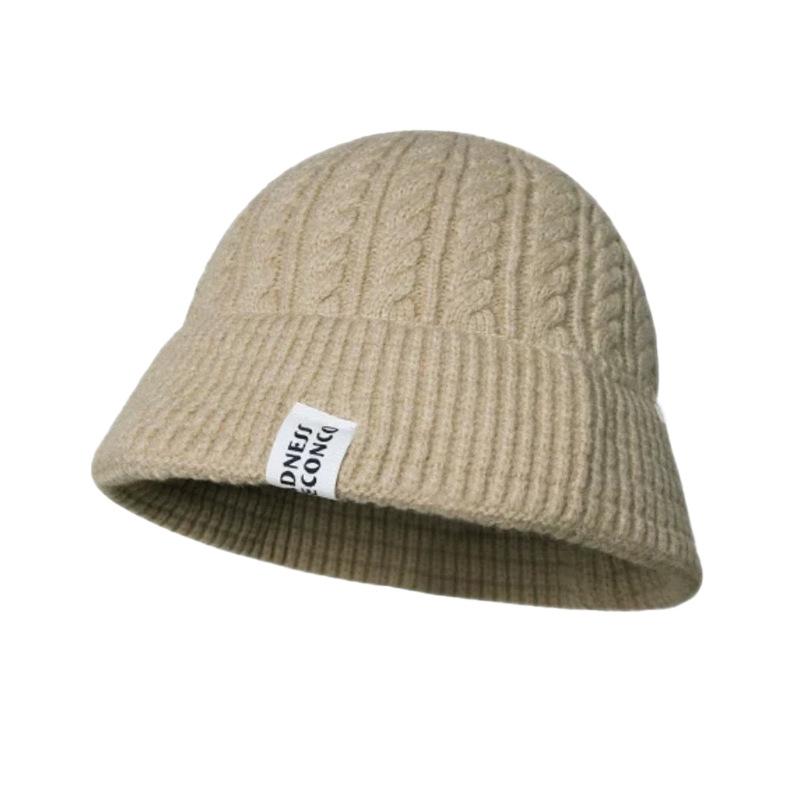 Internet celebrity autumn and winter fashion wide-along wool hat Korean version ins cloth sticker twist warm knitted hat cold hat wholesale