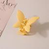 Frosted Butterfly Hair Claw with Spray Paint Effect