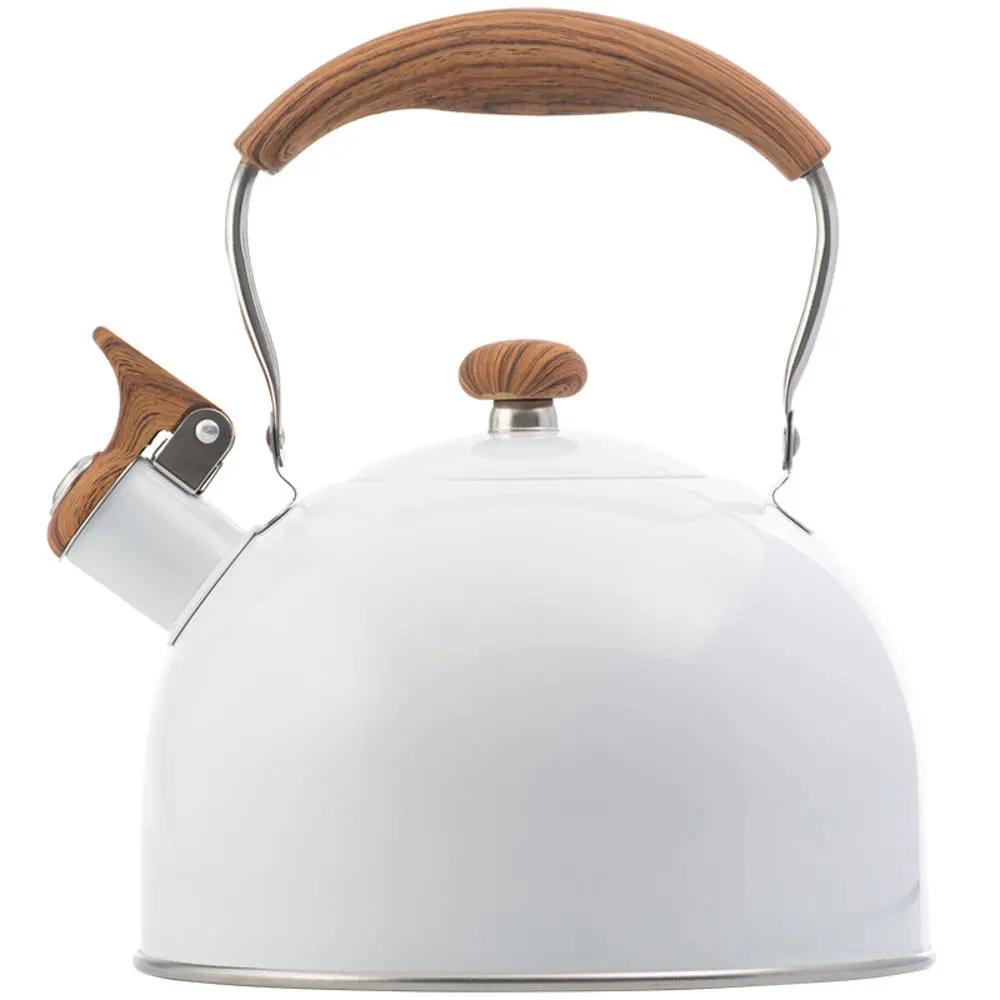2.5L Electric Tourist Gas Stove Kettle With Whistle Stainless Steel Kitchen Home-appliance Camping Teapot Cookware Cooking Set