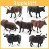 Modelo Realista de PVC de Touro e Vaca Ankole Watusi com Detalhes para Colecionadores