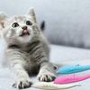 Soft Silicone Mint Fish Cat Toy  Pet Cat Teether Silicone Pet Grams Toy