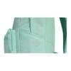 New Converse Polyester Backpack Regular Unisex Aloe Vera Green CV2423017PS-001