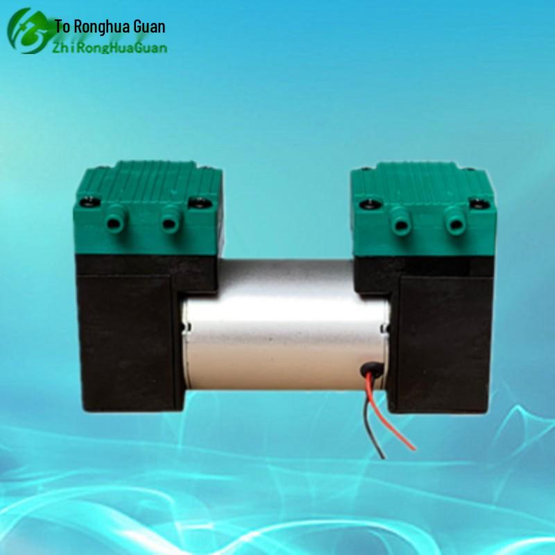 Dual Head Miniature Diaphragm Pump: 12V/24V DC Vacuum & Booster Air Pump