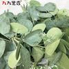American Simulated Plant Berry Eucalyptus Leaves Rattan Wedding Decoration