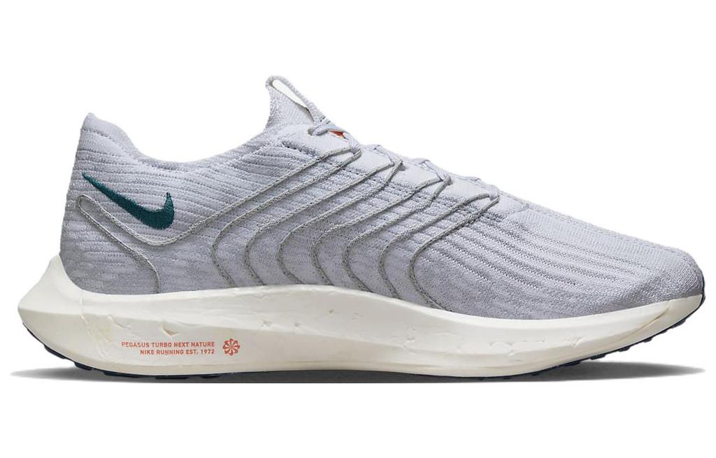 Nike Pegasus Turbo Next Nature Pure Platinum Valerian Blue DM3413-004
