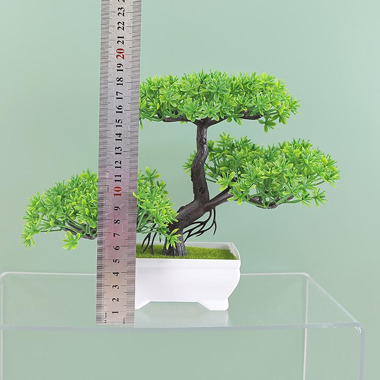 Plumosus Apargus Baker Plastic Faux Bonsai For Indoor Decoration Tabletop