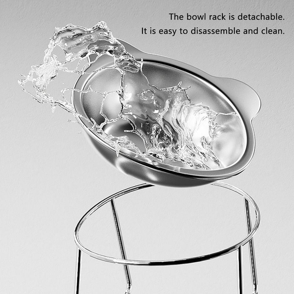 Tilted Cat Bowls Elevated 15° Pet Supplies Stable Cat Food Bowl  for Puppy and Cat