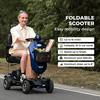 Sweetrich Scooter elettrico Max Plus, motore 300W, batteria 20AH, massimo 6km/h, autonomia 25km, adatto per anziani/disabili.