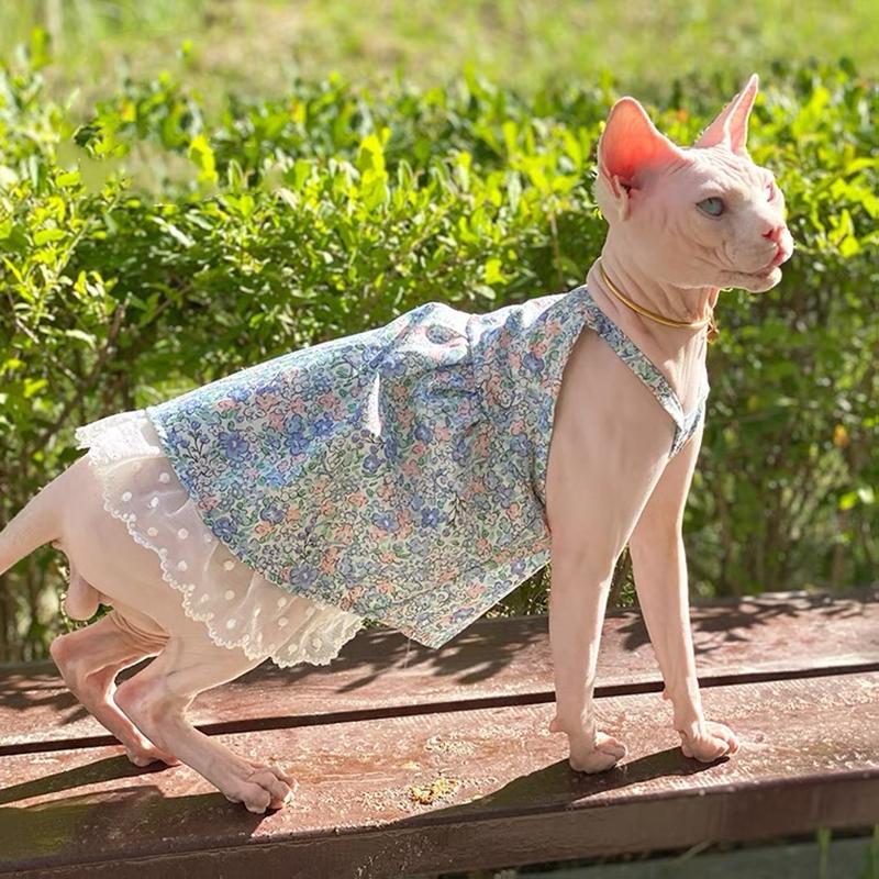 Sommer Sphynx Katze Hund Kleidung Luxus Prinzessin Kleidung Für Haarlosen Katzen Kostüm Kätzchen Weste Kostüm Welpen Rock Niedlich