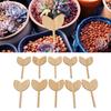 10pcs Plant Labels Bamboo Material Easy Writing 1/8 In Thickness Leaf Shape Lace Shape Garden Markers For Gardener