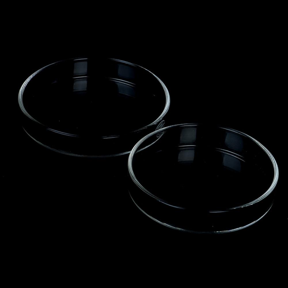 Durable for Fish Tank Acrylic Fish Feeding Bowl Fish Feeding Dish Shrimp Feeder Shrimp Food Box