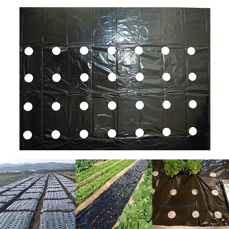 Film Pacciamante Nero in Plastica PE 5 Fori 393 pollici 1/3/6 Rotoli Per Piante da Orto Serra Giardino Copertura Anti Erbacce