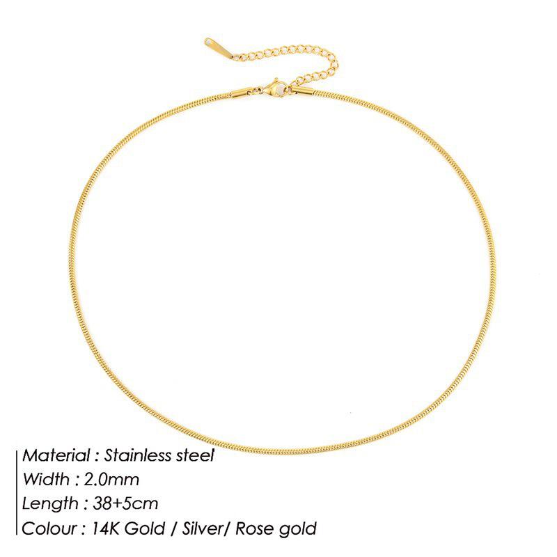 Korean Minimalist Versatile Snake Bone Chain Necklace - Cold Style Stainless Steel Jewelry