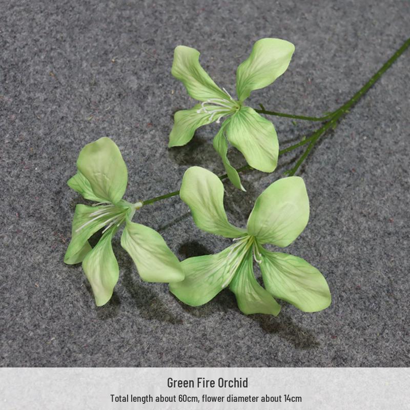 Asparagus Fern & Willow Buds Greenery for Wedding Decor & Landscaping